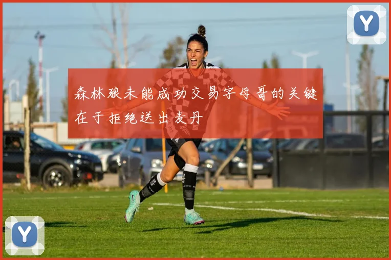 森林狼未能成功交易字母哥的关键在于拒绝送出麦丹