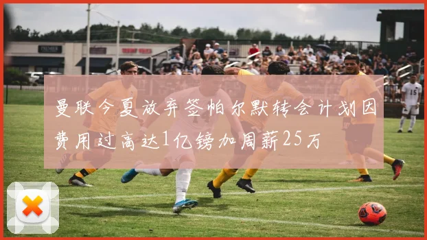 曼联今夏放弃签帕尔默转会计划因费用过高达1亿镑加周薪25万